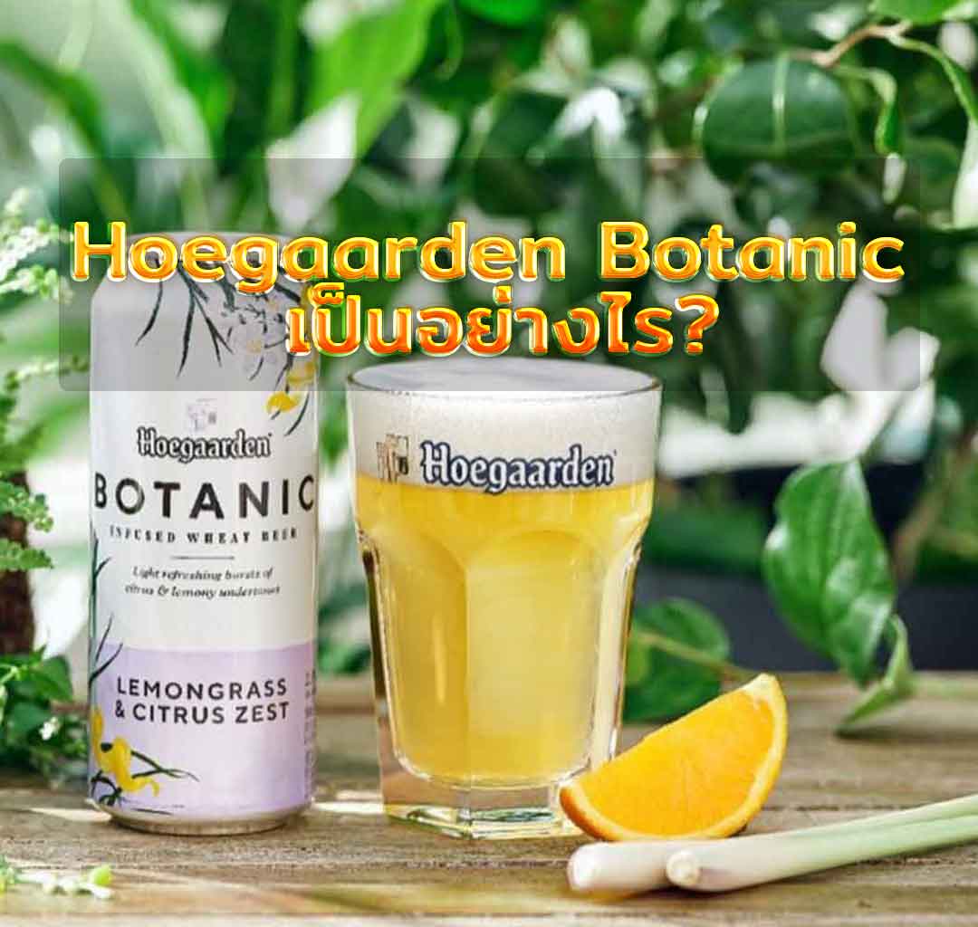 Hoegaarden Botanic เป็นอย่างไร?