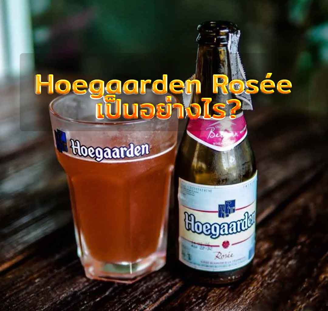 Hoegaarden Rosée เป็นอย่างไร?