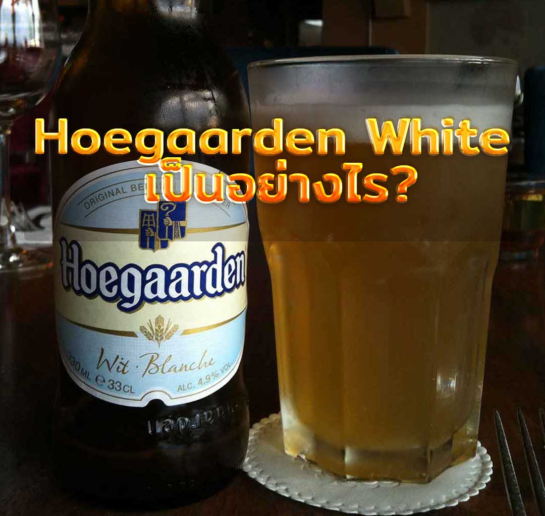 Hoegaarden White เป็นอย่างไร?