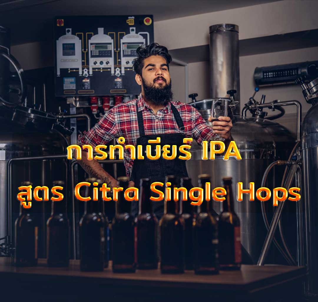 การทำเบียร์ IPA สูตร Citra Single Hops