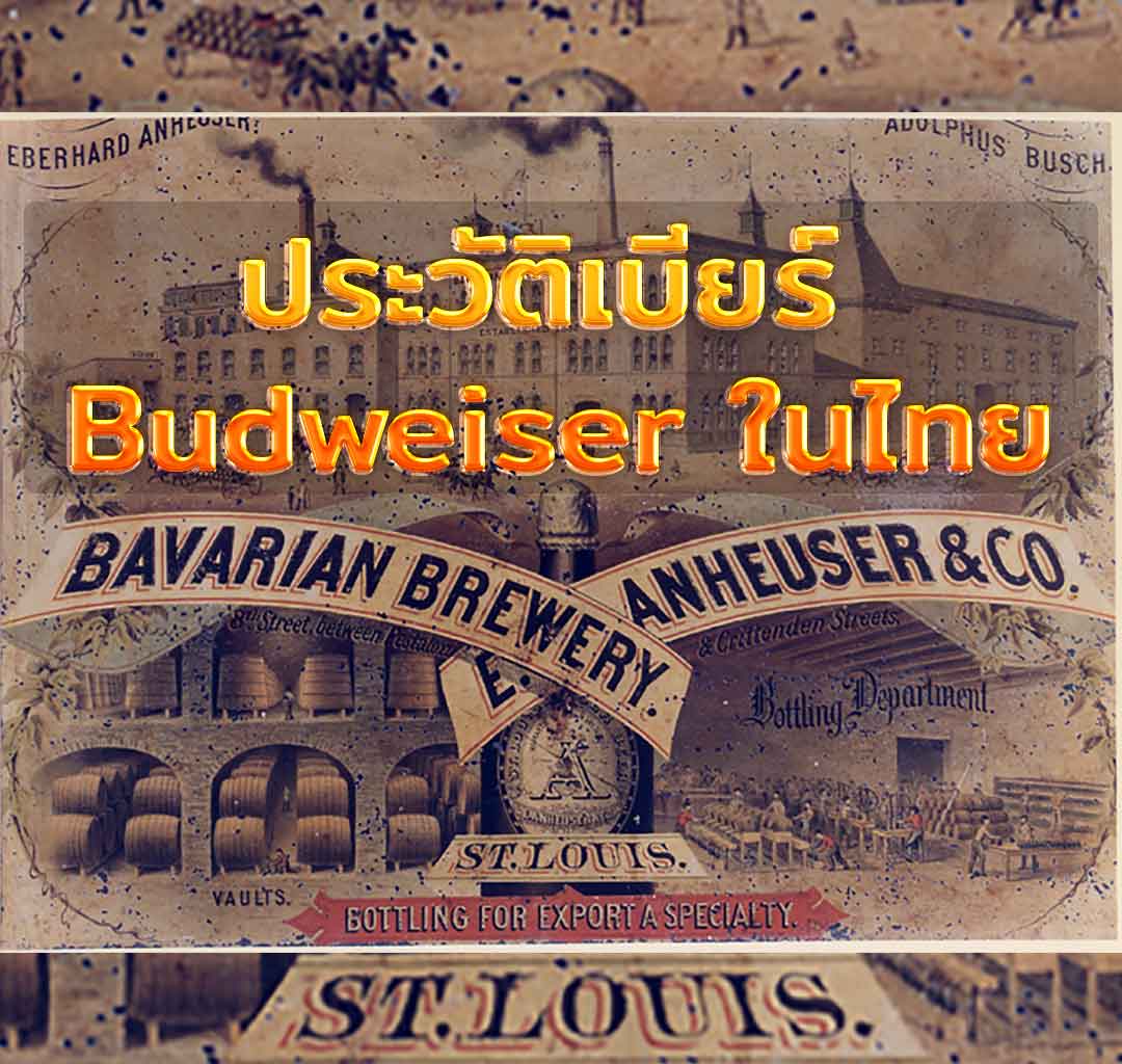 ประวัติเบียร์ Budweiser ในไทย