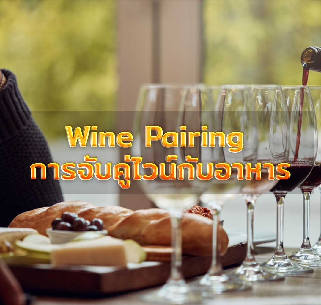 Wine Pairing การจับคู่ไวน์กับอาหาร