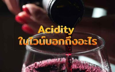 Acidity ในไวน์บอกถึงอะไร