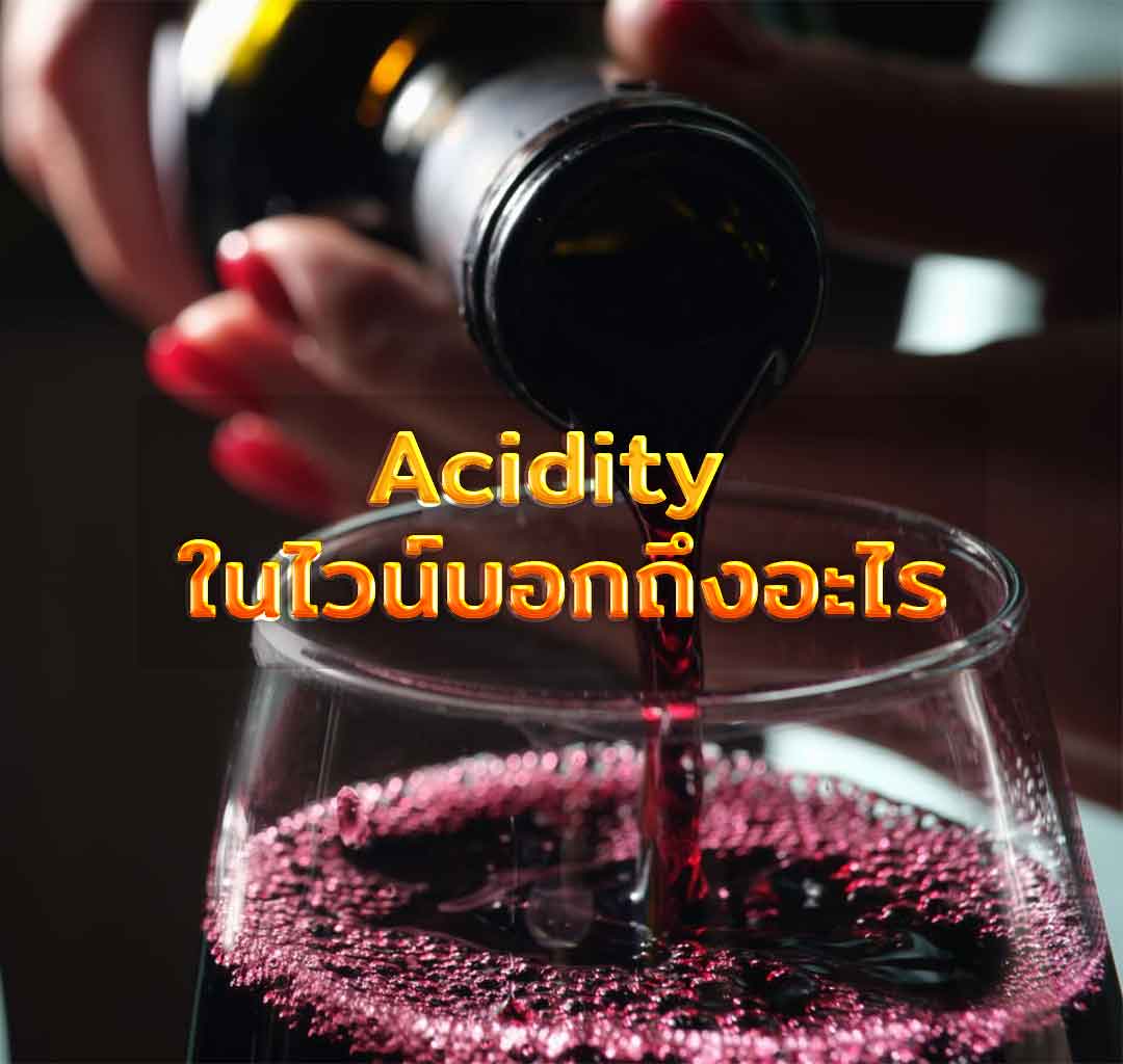 acidity ในไวน์บอกถึงอะไร